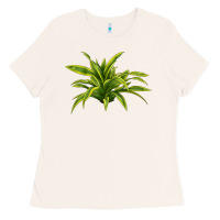 Bone Lemon Lime Dracaena Leaf Ladies Tee - LillyAllenDesigns