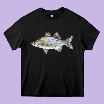 White Bass Fish Illustrations Heavy Core Tee Designed By Lillyallendesigns