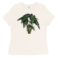Bone Amazon Elephant Ear Ladies Tee - LillyAllenDesigns