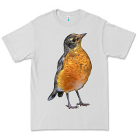 American Robin Bird Premium Tee | Teevron