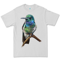Dove Grey Ruby Throcuted Hummingbird Premium Tee - LillyAllenDesigns