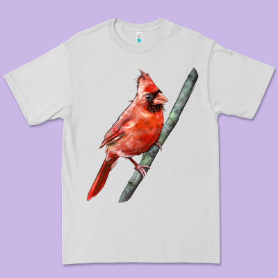 Northern Cardinal Bird Premium Tee Designed By Lillyallendesigns