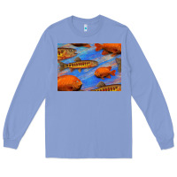 Colony Blue California Golden Trout Garibaldi Fish Background Long Sleeve Tee - Bettercallsaul