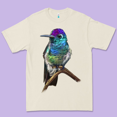 Rivoli`s Hummingbird Premium Tee Designed By Lillyallendesigns