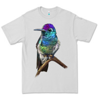 Dove Grey Rivoli`s Hummingbird Premium Tee - LillyAllenDesigns