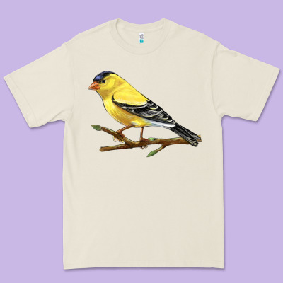 American Goldfinch Premium Tee Designed By Lillyallendesigns