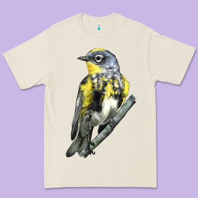 Yellow Rumped Warbler Premium Tee Designed By Lillyallendesigns