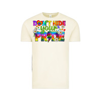 Vintage Arctic LGBTQ+ Don't Hide Your Pride Vintage Tee - BundleAndBundleShop