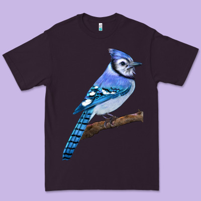 Blue Jay Bird Premium Tee Designed By Lillyallendesigns