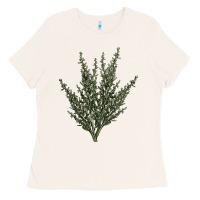 Bone Botanical Sagebrush Illustrations Ladies Tee - LillyAllenDesigns