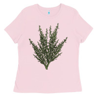 Bubblegum Pink Botanical Sagebrush Illustrations Ladies Tee - LillyAllenDesigns