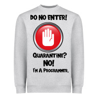 Heather Grey I'm Not In Quarantine I'm A Programmer Heavyweight Sweatshirt - Bettercallsaul