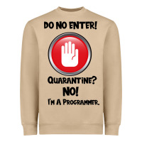 I'm Not In Quarantine I'm A Programmer Heavyweight Sweatshirt | Teevron