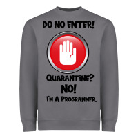 Storm I'm Not In Quarantine I'm A Programmer Heavyweight Sweatshirt - Bettercallsaul