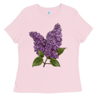 Bubblegum Pink Purple Lilac Flower Illustrations Ladies Tee - LillyAllenDesigns