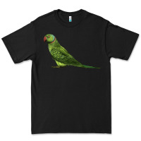 Black Ring Necked Parakeet Premium Tee - LillyAllenDesigns
