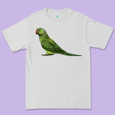 Ring Necked Parakeet Premium Tee Designed By Lillyallendesigns