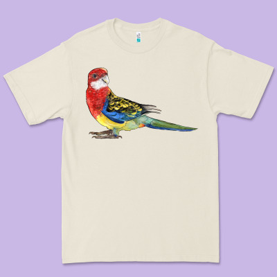 Rosella Bird Premium Tee Designed By Lillyallendesigns