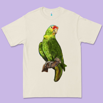 New Zealand Paraket Parrot Premium Tee Designed By Lillyallendesigns
