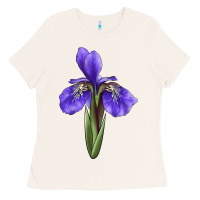 Bone Iris Flower Illustrations Ladies Tee - LillyAllenDesigns