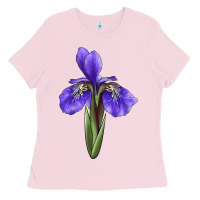 Bubblegum Pink Iris Flower Illustrations Ladies Tee - LillyAllenDesigns