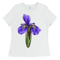 White Iris Flower Illustrations Ladies Tee - LillyAllenDesigns