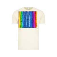 Vintage Arctic LGBTQ+ Pride American Flag Tumbler Vintage Tee - BundleAndBundleShop