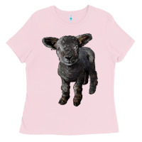 Bubblegum Pink southdown baby sheep Ladies Tee - LillyAllenDesigns