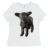 White southdown baby sheep Ladies Tee - LillyAllenDesigns