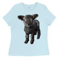 Baby Blue southdown baby sheep Ladies Tee - LillyAllenDesigns