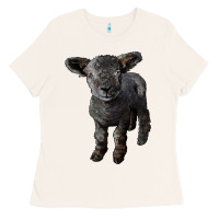 Bone southdown baby sheep Ladies Tee - LillyAllenDesigns