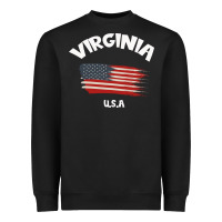 Virginia U.s.a Heavyweight Sweatshirt | Teevron