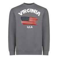 Storm VIRGINIA U.S.A Heavyweight Sweatshirt - Bettercallsaul