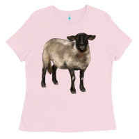 Bubblegum Pink suffolk ewe Ladies Tee - BarkalooDesign