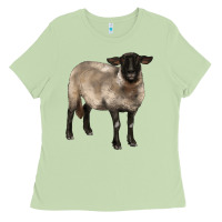 Matcha suffolk ewe Ladies Tee - BarkalooDesign