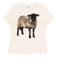 Bone suffolk ewe Ladies Tee - BarkalooDesign