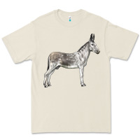 Bone Andalusian Donkey Premium Tee - LillyAllenDesigns