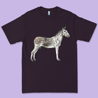 Andalusian Donkey Premium Tee Designed By Lillyallendesigns