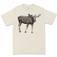 Moose Buck Deer Premium Tee | Teevron