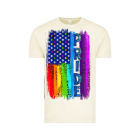 Vintage Arctic Pride LGBTQ+ American Flag Vintage Tee - BundleAndBundleShop