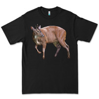 Black Red Brocket Buck Deer Premium Tee - LillyAllenDesigns