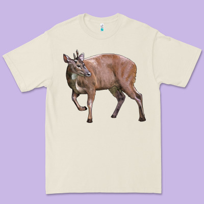 Red Brocket Buck Deer Premium Tee Designed By Lillyallendesigns