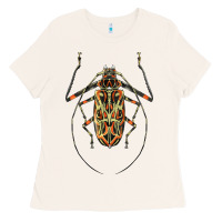 Bone Acrocinus Beetle Illustrations Ladies Tee - LillyAllenDesigns