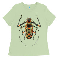 Matcha Acrocinus Beetle Illustrations Ladies Tee - LillyAllenDesigns
