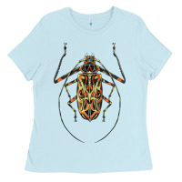 Baby Blue Acrocinus Beetle Illustrations Ladies Tee - LillyAllenDesigns