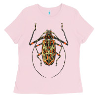 Bubblegum Pink Acrocinus Beetle Illustrations Ladies Tee - LillyAllenDesigns