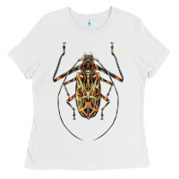 White Acrocinus Beetle Illustrations Ladies Tee - LillyAllenDesigns