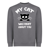 Storm My Cat Was Right About You Heavyweight Sweatshirt - Bettercallsaul