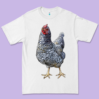 Dominique Chicken Premium Tee Designed By Lillyallendesigns