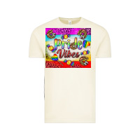 Vintage Arctic Pride Vibes LGBTQ+ Tumbler Vintage Tee - BundleAndBundleShop